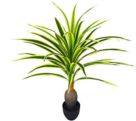 AMERIQUE Gorgeous 4 Feet Dracaena Artificial Plant Tree with 37 Leaves, in Nursery Pot, Real Touch Technology, Green & Yellow