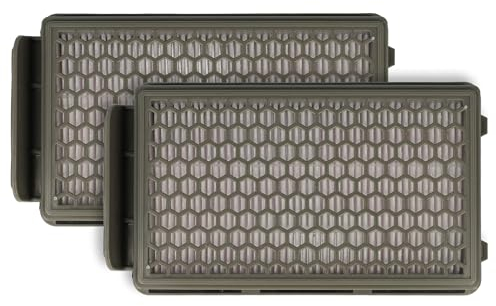 vhbw 2x filtre compatible avec Rowenta RO3951EA, RO3953EA, RO3955EA, RO394, RO395, RO396 aspirateur - Filtre HEPA contre les allergies