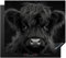 KitchenYeah© Herdabdeckplatte 60x52 cm Einteilig Induktionsmatte Küche Abdeckung Ceranfeld Herd Abdeckplatte Deko Vinyl Matte Aufrollbar Schottisches Hochlandrind - Schwarz - Kalb - Kuh
