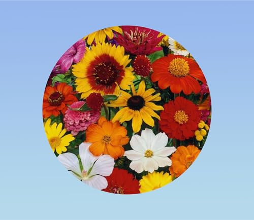 200 graines FLEURS A COUPER en mélange - FLEURS COURTES - + ou - cornues - jardin fleurs colorés