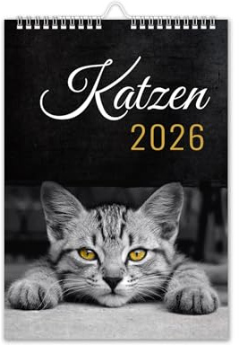 Calendrier 2026 - Calendrier mural - Format A4 - Avec vacances scolaires - Motif chat - Noir