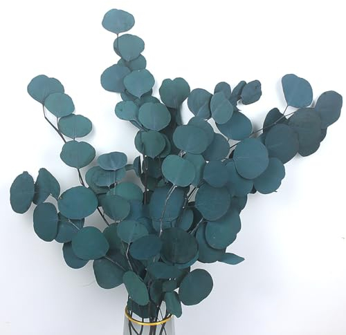 KOKITS Eucalyptus Fleurs Séchés Naturel Eucalyptus Branches Fleurs Séchées la décoration, Feuilles de Jardin, Plantes Vertes pour fête, Famille (Bleu)