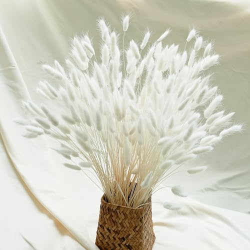 Naunauya 120 PCS Pampas White - Trockenblumen – Pampasgras, Strohblumen - Klein Dekoration in Weiß, Beige und Herbsttöne – Perfekt für Hochzeiten & Hausdekoration