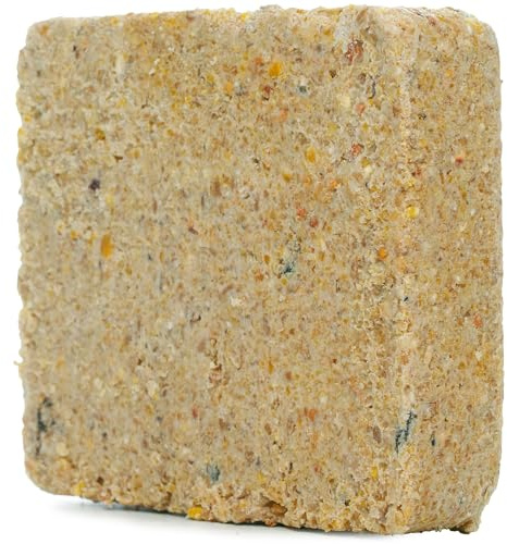 SQUAWK Suet Fat Blocks | Premium Garden Wild Bird Food | Enhanced Formula | Naturally Blended, High in Energy & Protein-Rich Feed | Full of Nutritious Fat Fibre & Moisture (Peanut, 5)