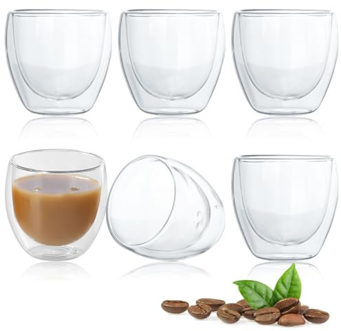 TNSLAND Lot de 6 tasses à expresso en verre thermique à double paroi résistant à la chaleur avec effet flottant - Verres à dessert en verre borosilicate - 250 ml