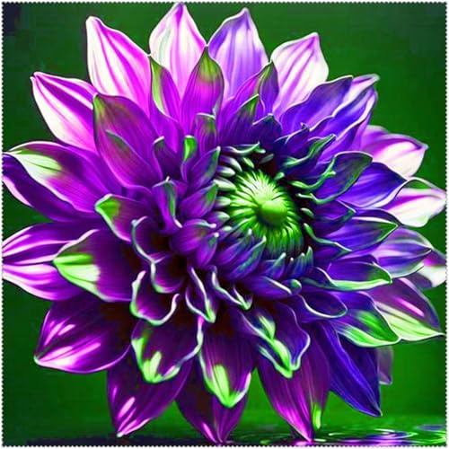 Dahlia Bulbs Mix for Planting Now UK/Greening Flower/Natural Organic/Good for Containers/Strong Plants That Grow Well/Cut Flowers/Wedding Flowers.-2bulbs-B