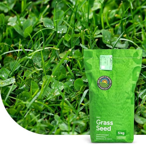 Clover Lawn : Semences de gazon avec micro-trèfle - 5 kg pour 250 m² - Pelouse luxuriante et durable - Résistante à la sécheresse - Peu d’entretien - Idéale pour les zones ombragées