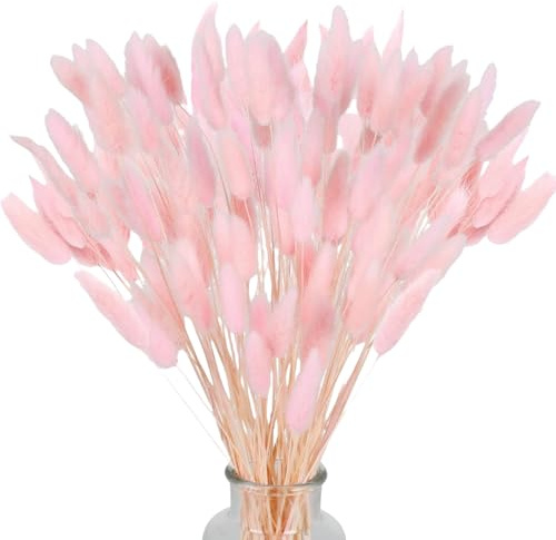 Piccola Erba Secca di Pampa,Coda di Coniglio Essiccata Mazzi di Erba 60 Coda di Coniglio Pampa Erba Secca Naturale Fiore Artificiale per Matrimonio Decorazione D'interni Domestica Giardino Festa,Rosa