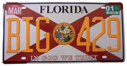 OPO 10 - Matrícula de Coche de EE.UU. - réplica en Metal: Florida (84)