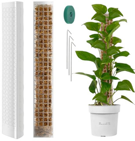 Vicloon Tuteur Plante en Plastique,2pcs Tuteur Monstera, Tuteurs Plante Grimpante, Poteaux en Mousse Transparent,Poteaux Grimpantes pour Maison Jardin de Support de Plantes