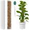 Vicloon Moosstab Rankhilfe, 2 Stück Kunststoff-Moosstange 61cm Monstera Pflanzstab, Pflanzenunterstützung Moss Pole Moosstab Transparent Rankhilfe für Zimmerpflanzen mit 3 Erdspieße und 1 Klett