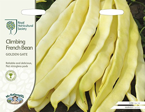 Mr Fothergills - Vegetable - RHS Climbing French Bean Golden Gate - 50 Seeds