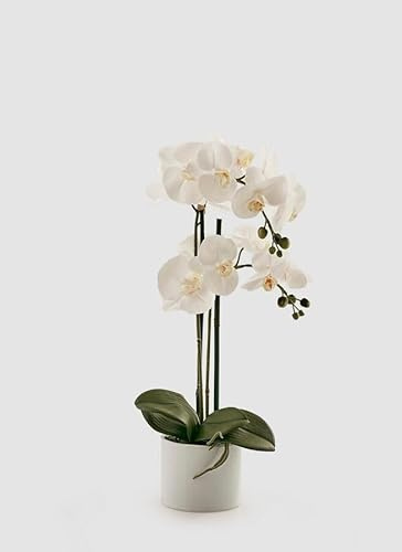 EDG Enzo De Gasperi Orchidea Phalaenopsis Pianta con Vaso e 2 Rami Artificiale H 55 Cm White