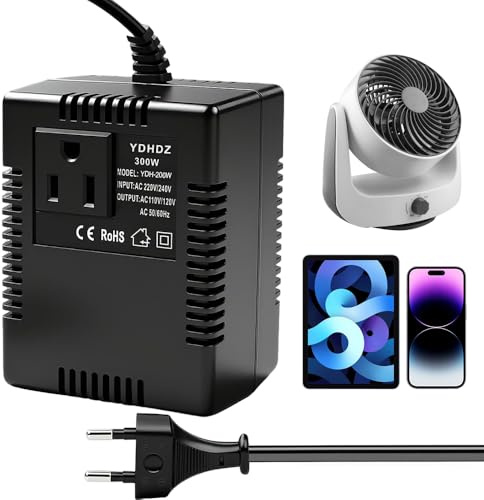 RNPKZ Trasformatore di tensione da 220 V a 110 V, adattatore di alimentazione da 300 W, convertitore di corrente da viaggio, convertitore di tensione con spina UE utilizzato per purificatori d'aria