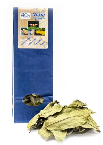 AQ4Aquaristik Walnusslaub - 15 Walnussblätter - getrocknet - Futter für Zwerggarnelen, Welse und Triops, Naturprodukt