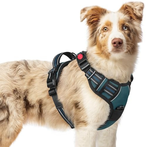 rabbitgoo Harnais Chien avec 3 Boucles, Facile à Mettre et à Enlever, Harnais Anti Traction pour Chien avec Poignée et Attache Devant, Réglable, Réfléchissant, Arnet pour Chiens Moyen, Vert Foncé, M