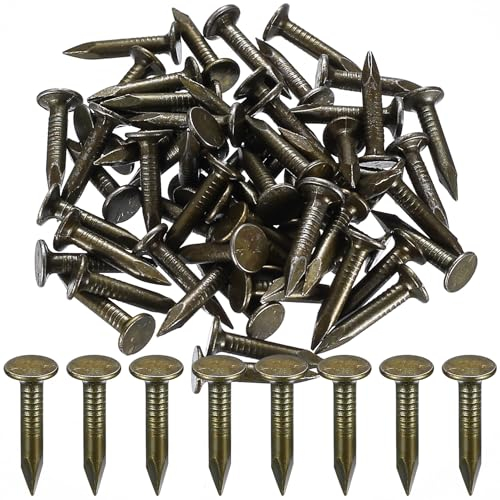 100 Pz Chiodi per Tetto, Chiodi per Coperture Zincati 25mm, Chiodi in Feltro per Capannoni di Legno, Chiodi in Feltro per Tetti, Chiodi a Testa Extra per Legno Capannoni Mobili Costruzioni Taglia