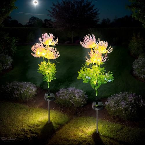 Hqynss Lampes Solaires Extérieures 2 Pièces, Éclairage Solaire de Jardin Étanche IP65, Lampes Solaires en Forme de Fleur pour Jardin, Terrasse, Cimetière, Chemin - Blanc Chaud