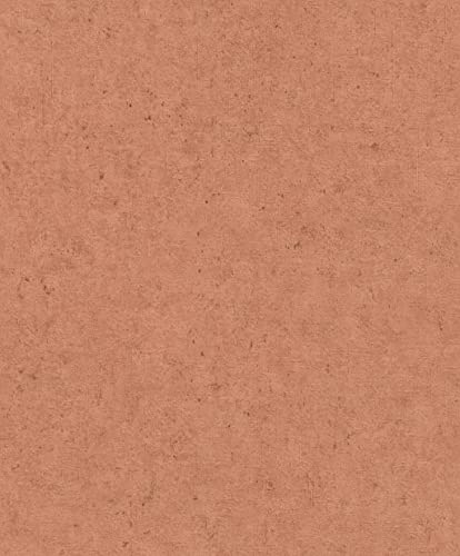 Rasch Tapeten Vliestapete (universell) Rot 10,05 m x 0,53 m Concrete 520880