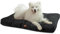BEDSURE Hundekissen Grosse Hunde waschbar - 120x90cm hundematratze wasserdicht XXL für große, mittelgroße Hunde Outdoor gepolstert Hundematte schwarz in 10cm Höhe，XL Kühlmatte für Haustiere