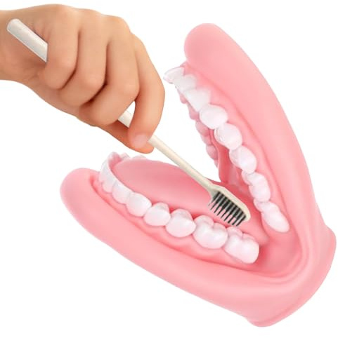 Marionetta per bambini – Modello bocca dentale da 15 cm, giocattolo per denti realistico in PVC, marionetta didattica interattiva per spazzolare con modello di dente grande e spazzolino da denti |