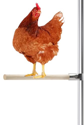 4 Stück Hühner Sitzstangen Set Hühnerstall Zubehör Doppelte Rohrschelle und Holzstab Holzständer Hühnerspielzeug für große Vögel, Papageien, Henne, Küken