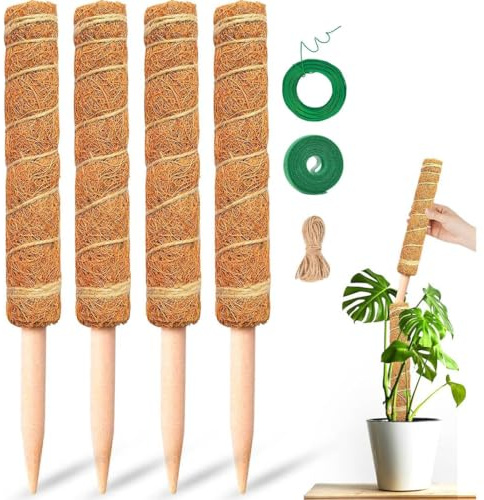 YIPFEN 4 pezzi supporto per rampicanti palo di muschio per Monstera 40cm bastone di cocco estensibile per piante rampicanti da interno