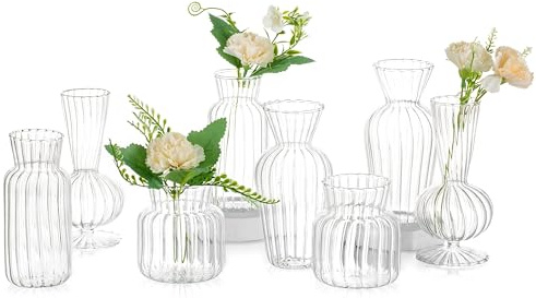 Kleine Vasen Hochzeit Tischdeko Vintage, 8 Teilig Mini Vase Glas Blumenvase Modern Set Hydroponic Glasvase Fuer Blumen Deko Hochzeit Tisch Wohnzimmer Couchtisch Badezimmer