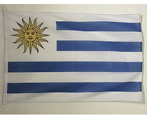 AZ FLAG - Flagge Uruguay - 90x60 cm - Uruguayische Fahne 60 x 90 Cm Aussenverwendung - Flaggen