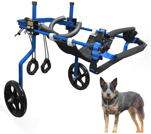 KAJILE Justerbar 2-hjuls hundvagn, L-3 storlek för rehabilitering av funktionshindrade Hund Bakben, passform Höjd 43-53cm, bredd 19-25cm, längd 27-35cm