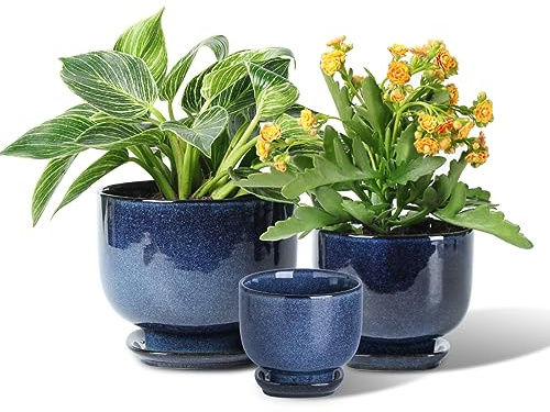 vicrays Ceramic Plant Pots Indoor - 6.8/5.5/4.3 Inch Planter Pot with Drainage Hole and Saucer for Succulent Orchid Flower Herbs Cactus - Gardening Home Desktop Office Decor – Set of 3 Blue