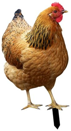 Fenteer Piquet de Jardin Statue de Poule, Statue de Poule en Métal pour Embellir Votre Espace Extérieur, Piquets de Jardin en Forme de Coq, Statue Décorative de Jardin Poule, 31.5x17.4x0.1cm