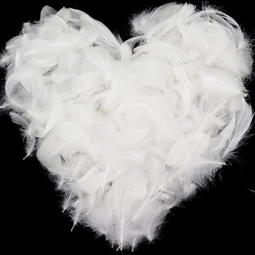 700pcs White Feathers for Crafts, Natural Goose Feathers White Feather Fantasy Ornament, Feathers Bulk for DIY Decoration Handmade Crafts Wedding Dream Catchers (White)