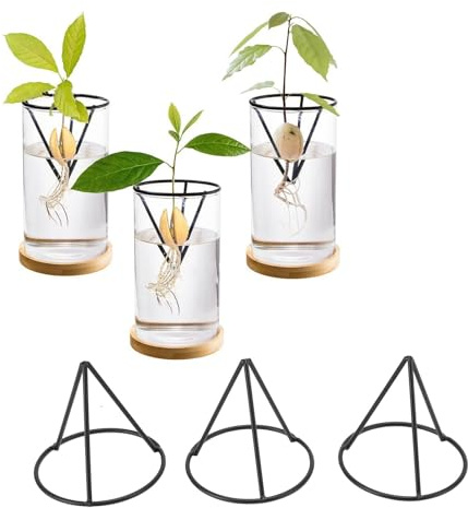 Agatige Support De Graines D'avocat 3 Pièces, Support De Pot De Germination Triangulaire Stable en Fer, Kit De Culture D'avocat Démarreurs De Graines D'avocat pour Pot À Bouche Large De 3.4 Pouces