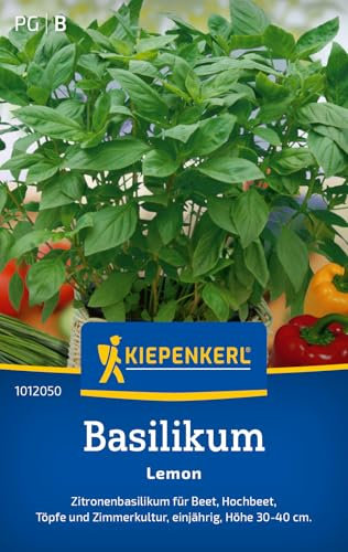 Kiepenkerl Basilikumsamen Lemon 1012050 - Zitronenbasilikum - Höhe 30-40 cm - Inhalt für 150 Pflanzen - Einjährig - Kräutersamen, Samen Kräuter, Saatgut