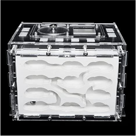 ZHL Gypsum Formicarium Educativo Nido di Formiche Grande Spazio Insetti Formiche Villa Formiche Fattoria Acrilico,umidità con Area di Alimentazione Pet Mania Avanzata per Formiche Casa