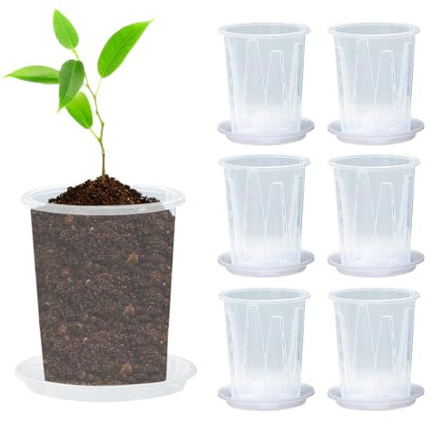 Afenau 6Pcs Orchideentöpfe, 14cm Orchideentopf Transparent, Kunststoff Orchideen Pflanztöpfe, Orchideen Übertopf für Orchideen Orchidee Blumentopf für Indoor Outdoor Balkon Schreibtisch