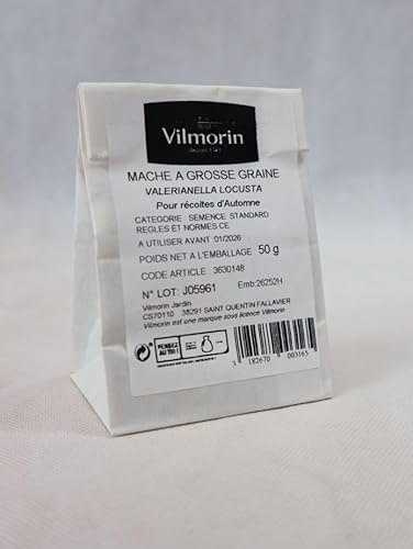 Vilmorin Mâche à Grosse Graine 50 g | Précoce, Facile, Résistante, Savoureuse, Nutritive, Automne, Récolte abondante, Culture facile