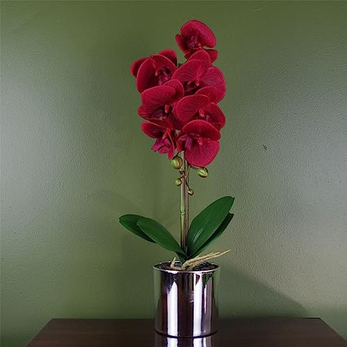 Leaf Orchidea artificiale rossa con vaso argentato, 46 cm
