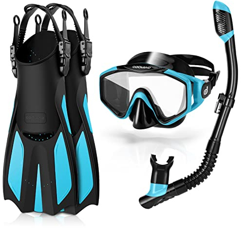 Snorkelset för vuxna, anti-dimma dykmask med torr topp, snorkel- och simfenor, vidsiktsdykning flippers snorklingsutrustning för män, kvinnor, ungdom, himmelsblå, L