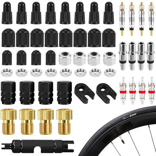Válvula de bicicleta francesa, adaptador de válvula de bicicleta, 55 unidades, adaptador de válvula Presta, juego de extractor de válvulas, adaptador de válvula para bicicleta MTB e Bike