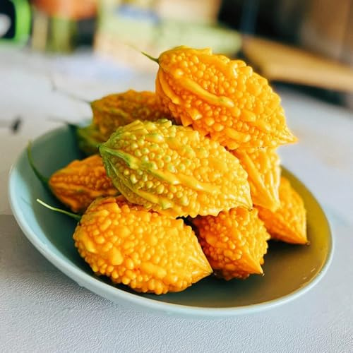 calabaza amarga semillas de melón amargo - viejas, orgánicas en resistentes, trepadoras 150pcs