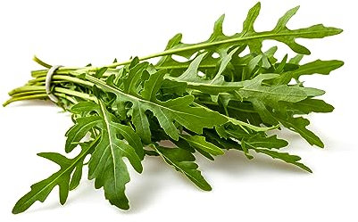 Lot de 500 graines de roquette bio prademir 100 % naturelles