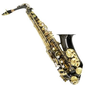 Professionell Saxofon EB Professional Brass Gold Altsaxofon Är Handgjord För Musiker Och Nybörjare