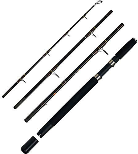 WFT Angelrute Tidec 30lbs 2,10m 4Stk. Brandung