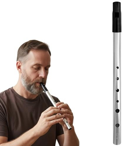 Tin Whistle D para principiantes - Flauta irlandesa de seis agujeros, timbre claro, acabo plateado antioxidante & kit de inicio (incluye funda & tabla de digitación)