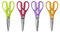 Ibili 704904C Ciseaux de Cuisine - 1 Pcs, INOX, Multicolore, 21 x 5 x 2 cm