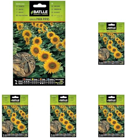 Semi aromatici di Batlle - Girasole (Seeds - 30cm), bianco (Confezione da 5)