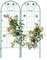 Relaxdays Soportes para Plantas, Set de 2, 150 x 50 cm, Autónomos, Enrejado con Estacas, Enredaderas y Rosales, Verde