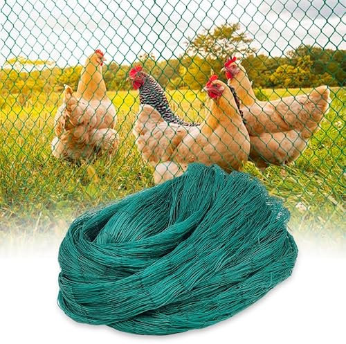Rete Anti-uccelli, Rete per Polli, Rete per Pollame, Protezione per Frutta, Maglia da 4 cm, Resistente ai Raggi UV, Facile Installazione, Robusta & Riutilizzabile, Verde (2m x 10m)